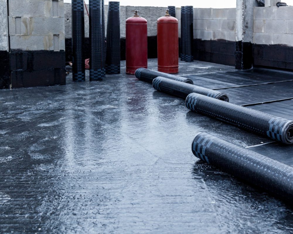 freepik_32721531-scaled